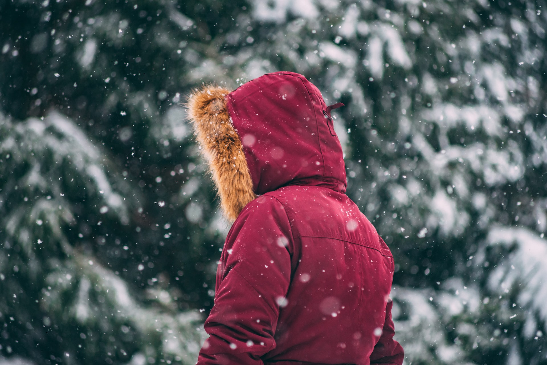 Idealny płaszcz zimowy – w jaki model zainwestować w tym roku?